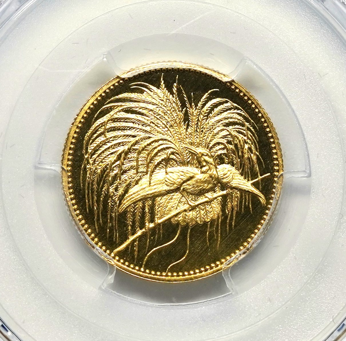 Sold】【最高鑑定！！！】1895年 極楽鳥 20マルク金貨 PR66DCAM